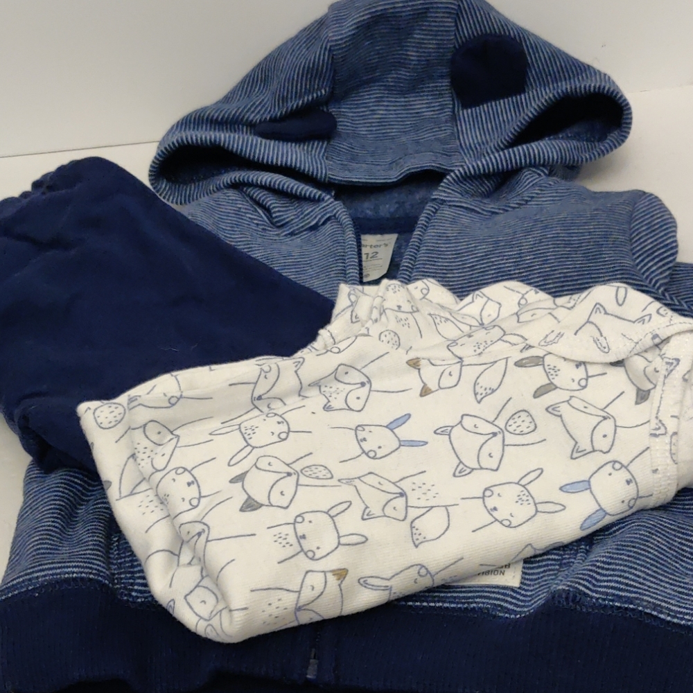 12 month ~ Little Bear Cub Division ~ Carter's ~ 3